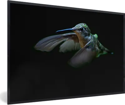 Produktbild von MuchoWow® Gerahmtes Poster Kolibri - Federn - Schwarz 90x60 cm - Poster mit Schwarzem Bilderrahmen Wandposter Rahmen Foto Bilder - Fotorahmen - Foto-Plakat