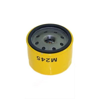 Image de Filtre à huile Pour Briggs & Stratton D76Xh57 3/4-16Unf ( 695396 )