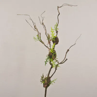 Produktbild von artplants.de Kunstzweig Korkenzieherweide RODRIK, Moos, Farn, braun-grün, 90cm - Deko Korkenzieherzweig