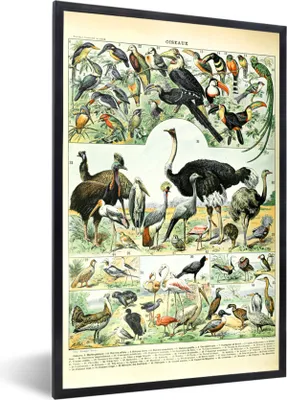 Produktbild von MuchoWow® Gerahmtes Poster Tiere - Vögel - Design 60x90 cm - Poster mit Schwarzem Bilderrahmen Wandposter Rahmen Foto Bilder - Kunst