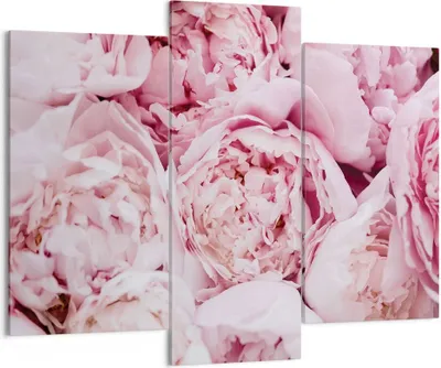 Produktbild von Bild auf Leinwand - Leinwandbild - 3 Teile - Blumenstrauß Blumen Rosa - 130x100cm - Wand Bild - Wanddeko - Wandbilder - Leinwanddruck - Bilder - Wanddekoration - Leinwand bilder - CB130x100-5001