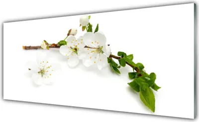 Produktbild von Küchenrückwand aus Glas 125x50cm Spritzschutz Blumen Zweig Natur