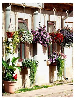 Produktbild von Makramee Blumenampel Verlängerung Baumwollseil Hängeampel Blumentopf Aufhänger 30 cm