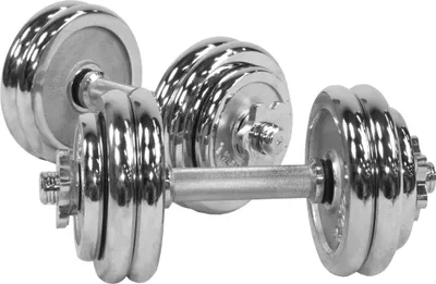 Two chrome dumbbells are shown against a white background.