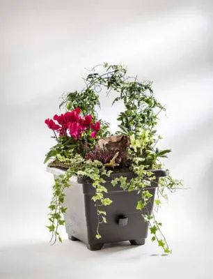 Produktbild von Plastia | Pflanzkübel Bergamot - 35X35Cm - Braun - Selbstbewässernd - Elegantes Design