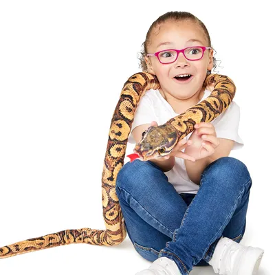 Produktbild von Zappi Co Kinder Gefülltes Weiches Kuscheliges Plüsch-Schlangenspielzeug - Teil der Safari-Tierkollektion, perfekt für Kinder (180 cm Länge) (Birmanischer Python)
