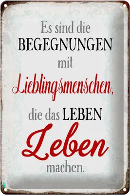 Produktbild von Blechschild Spruch 20x30cm Begegnungen Lieblingsmenschen