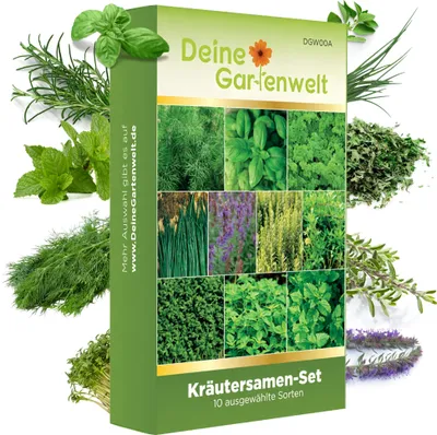 Kräutersamen Set - 10 Sorten Samen - Saatgut Sortiment - Anzuchtset für Küchenkräuter - Geschenkset - Dill, Basilikum, Petersilie, Kressse und mehr
