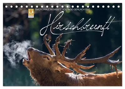 Produktbild von Emotionale Momente: Hirschbrunft (Tischkalender 2027 DIN A5 quer), CALVENDO Monatskalender