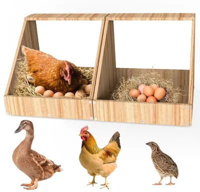 Hühnernest aus Paulowniaholz, 2 Stück, 35,4 x 35,4 x 34,2 cm