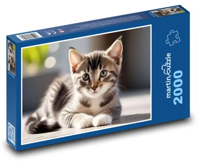 Zdjęcie produktu dla martinpuzzle - Puzzle 2000 - Kot domowy