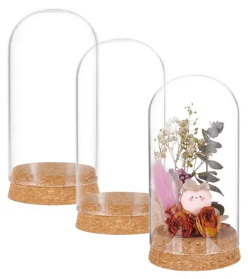3 Glaskuppel-Displayhalter mit Kork, 65x133 mm, für Pflanzen & Deko