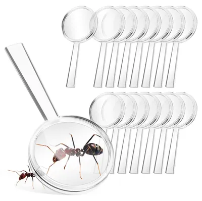Image de Lot de 16 mini-loupes pour enfants