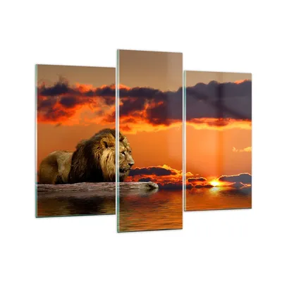 Produktbild von Bilder auf glas - Löwe Sonne Landschaft - 130x100cm - Glasbilder - Wandbilder - Kunstdruck - zum Aufhängen bereit - Wanddekoration aus Glas - Glas Bilder - Wandbild auf Glas - GCB130x100-0230