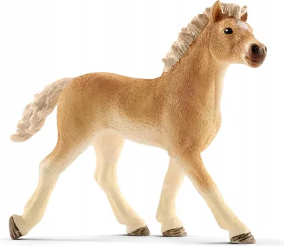 Produktbild von Schleich Haflinger Fohlen 13814
