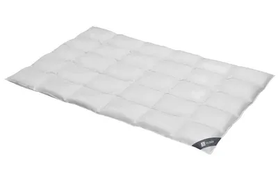 Produktbild von Daunendecke 155x200 cm 100 % Daunen   Bettdecke Steppdecke Daunen SPESSARTTRAUM SILBER