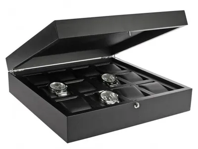 Produktbild von SAFE 252 Uhrenkoffer schwarz für 12 Uhren