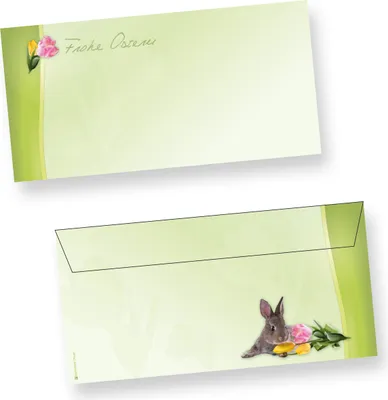 Produktbild von Umschläge DIN lang Osterhase (250 Stück ohne Fenster) Ostern Briefumschläge haftklebend