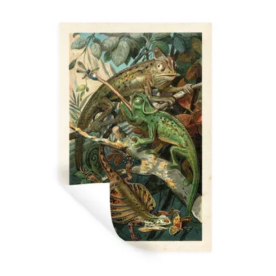 Obrázok produktu pre MuchoWow® Nálepka na stenu - Vintage - Plazy - Rastliny - 40x60cm - Samolepiaca a polohovateľná