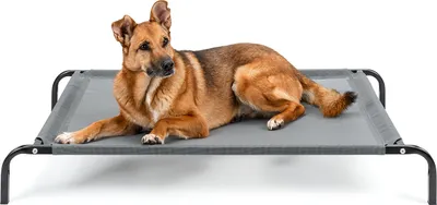 A German Shepherd dog lies on a raised outdoor dog bed.