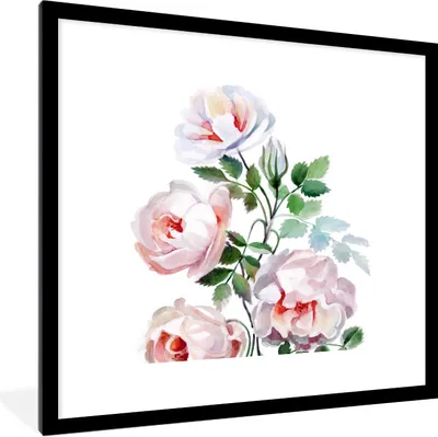 Produktbild von MuchoWow® Gerahmtes Poster Aquarell - Rosen - Blumen 40x40 cm - Poster mit Schwarzem Bilderrahmen Wandposter Rahmen Foto Bilder - Poster - Plakat im Rahmen