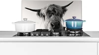 Produktbild von KitchenYeah®  Spritzschutz Küche - Küchenrückwand - Wandschutz für Herd und Spüle - Schottisches Hochlandrind - Schwarz - Weiß - Tiere 60x30 - Alu-Dibond (Alternative zum Spritzschutz aus Glas) - Hitz