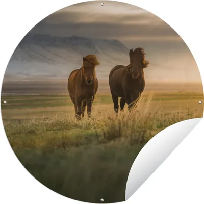 Produktbild von MuchoWow® Gartenposter Outdoor-Poster Rund Pferde - Luft - Gras Ø 150 cm Gartendeko Rundes Poster draußen