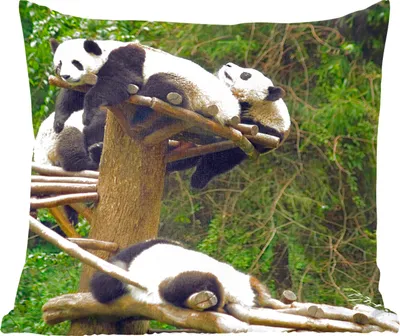 Produktbild von MuchoWow® Zierkissen Sofakissen Wohnzimmer Dekokissen 45x45 cm Pandas - Holz - Treppe - Schlafpolster - Polster für das Sofa