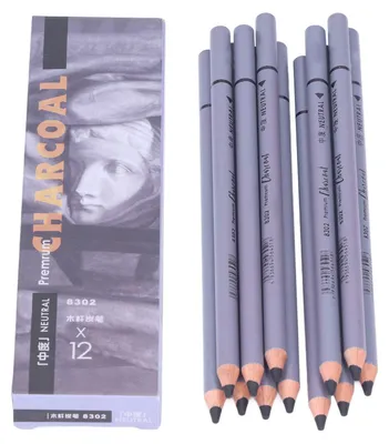 Image de 12 crayons de charbon souples, parfaits pour une écriture fluide et facile – idéaux pour les dessins détaillés, les esquisses et la peinture