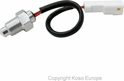 Produktbild von KOSO Temperaturfühler PT1/828 - 250°Cuniversal