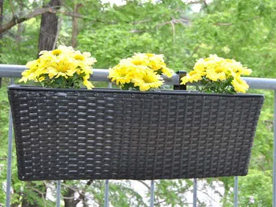 Produktbild von Elegant Einrichten | Pflanzkübel | Polyrattan | rechteckig | 60x19x20cm | coffee braun