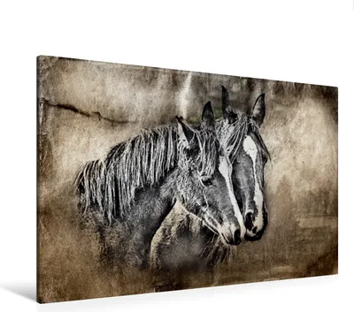 Produktbild von Calvendo  Textil-Leinwand 120 cm x 80 cm quer Ein Motiv aus dem Kalender Pferde-Graphiken, Gaymard Alain; 7371995