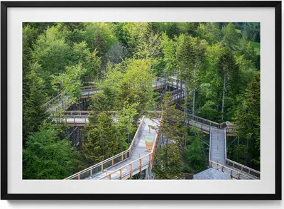 Produktbild von Ein Weg in Krynica Zdrój– Wandbild mit Rahmen – Gerahmtes Bild  – Wanddekoration – 100x70 cm –  Schwarz Rahmen