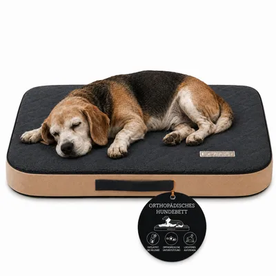 Image de Matelas orthopédique pour chien, lit pour chien, conçu pour protéger les articulations, taille M, 90x60 cm, couleur graphite, Image générée par une IA