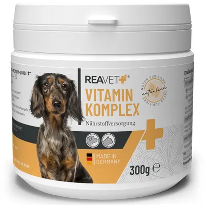 Produktbild von REAVET Vitamine für Hunde, Vitamin Komplex Pulver I Über 20 wertvolle, rein natürliche Vitamine & Mineralien I bei Vitaminmangel, Multivitamin Pulver Hund 300g