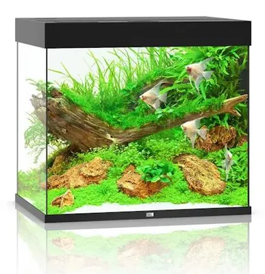 Productafbeelding van Juwel Lido 200 LED | 200L | 71 x 51 x 65CM Zwart