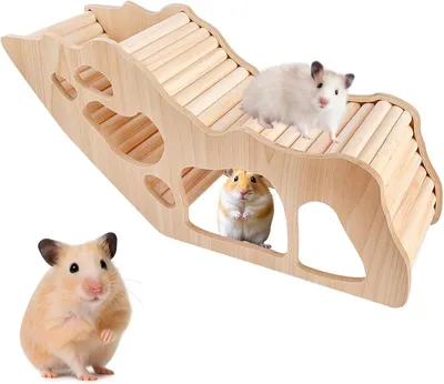 Imagen del producto de Túnel y escalera de madera, naturales, para hámsteres, jerbos y hámsteres enanos