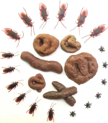 Imagen del producto de Réplica de plástico Drol, 24 unidades, realista, ideal para artículos de broma
