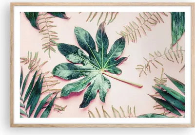 Produktbild von Gerahmtes Poster - Rahmen in heller Eiche - Blatt Tropisch Palme - 91,5x61 cm - Wand Bild - Wanddeko - Wandbilder - Wandposter - Bilderrahmen - Bilder - Kunstdruck - Wandbild - P2NAA91x61-4314