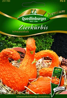 Produktbild von Zierkürbis Schwanenhals | Zierkürbissamen von Quedlinburger