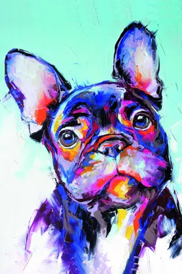 Produktbild von Leinwandbild - Motiv: Bulldogge - 60 x 90cm