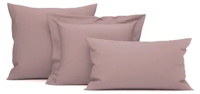 Produktbild von Heckettlane Rose-Tan Kissenbezug Elementi 80x80 cm - Hergestellt aus 100% Baumwoll-Satin