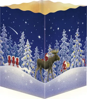 Produktbild von Adventskalender "Nordische Weihnacht"
