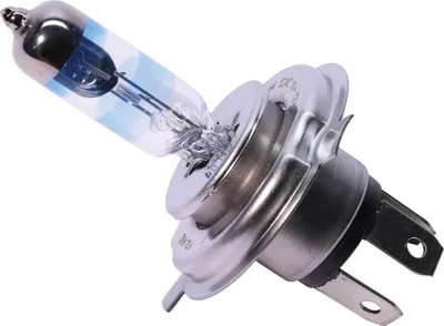 Image de PHILIPS X-tremeVision Moto Ampoules H4 12V 60/55W - x1