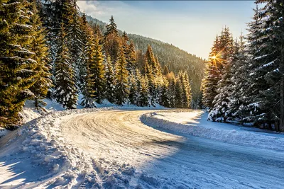 Produktbild von Muralo Fototapete Landschaft 520 (B) x 318 (H) cm Vlies Tapete Wandtapeten Gebirge Schnee Bäume Wohnzimmer Schlafzimmer moderne Wandbilder XXL Natur Panorama Wand Dekoration