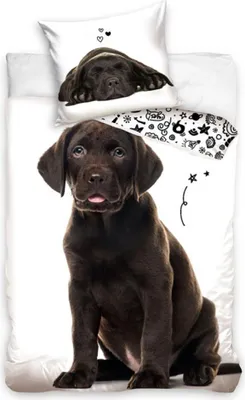 Produktbild von PHU CARBOTEX Baumwollbettwäsche 140x200 Labrador Schwarz