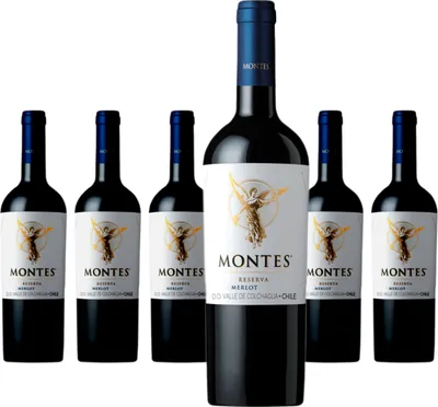 Produktbild von 6 x Montes Merlot Reserva