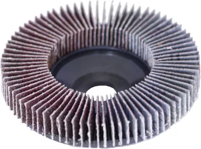 Produktbild von Fächerscheibe 100x16 mm Körnung 60