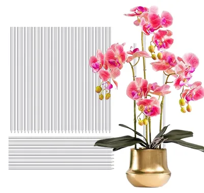 Image de Tiges de support transparentes, 40 cm, lot de 30, pour plantes d'intérieur