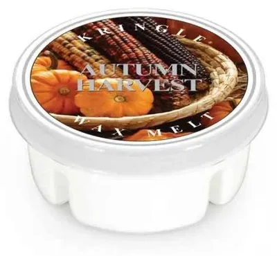 Produktbild von Kringle Candle HERBSTERNTE, Duftwachs (35 g)